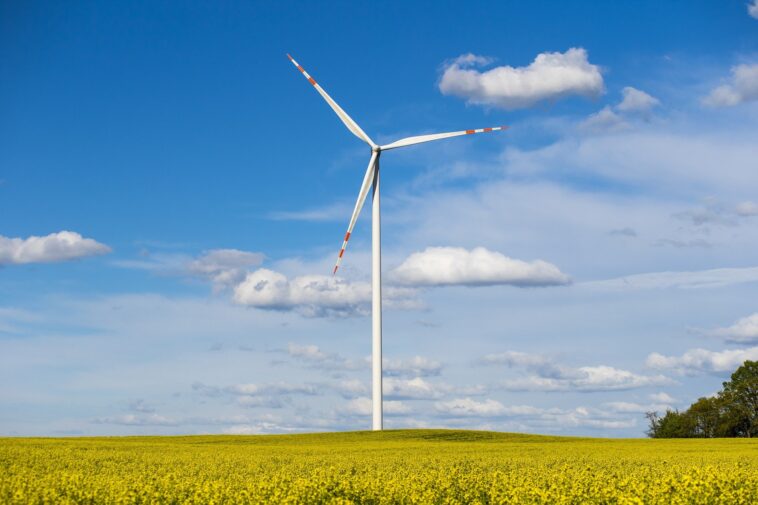 Větrná elektrárna (foto plBrYK/ Pixabay)